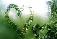 天涯论坛官网台湾：穿越海峡的文化交流桥梁