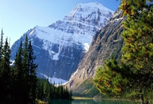 天涯论坛娱乐圈那些事：聊聊明星八卦趣闻